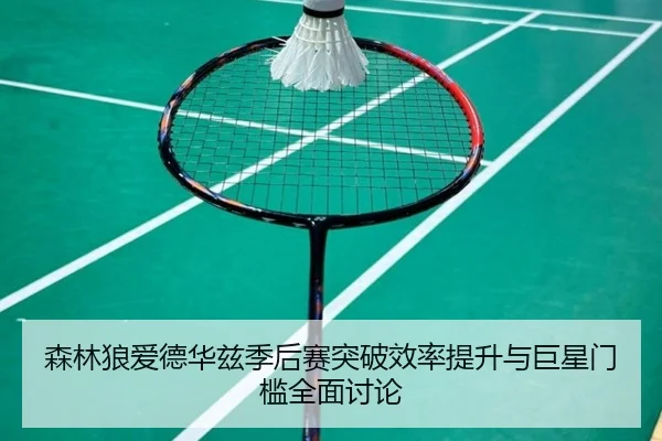 森林狼爱德华兹季后赛突破效率提升与巨星门槛全面讨论